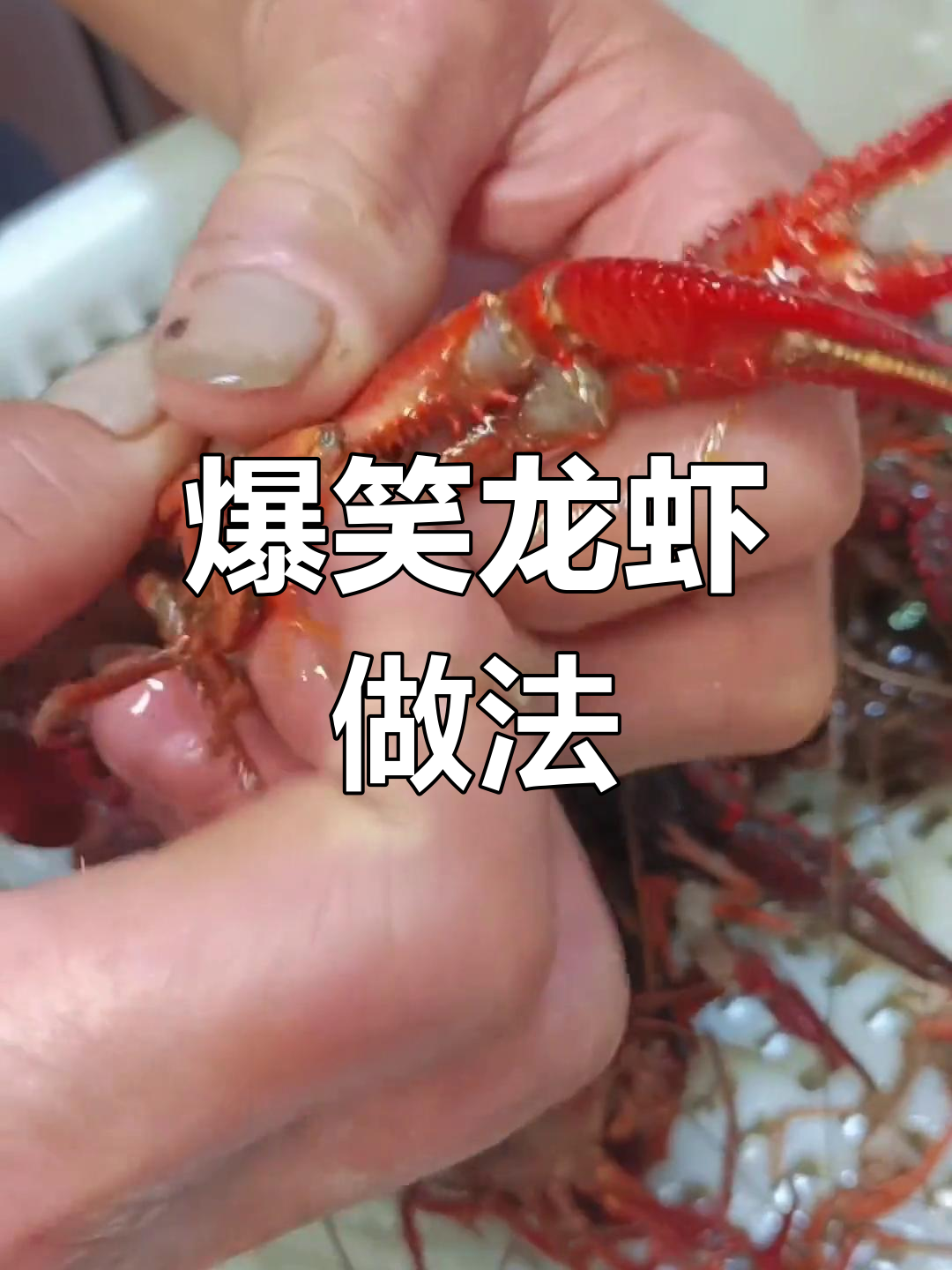 龙虾季来临!教你做香辣虾锅,轻松搞定美味大餐