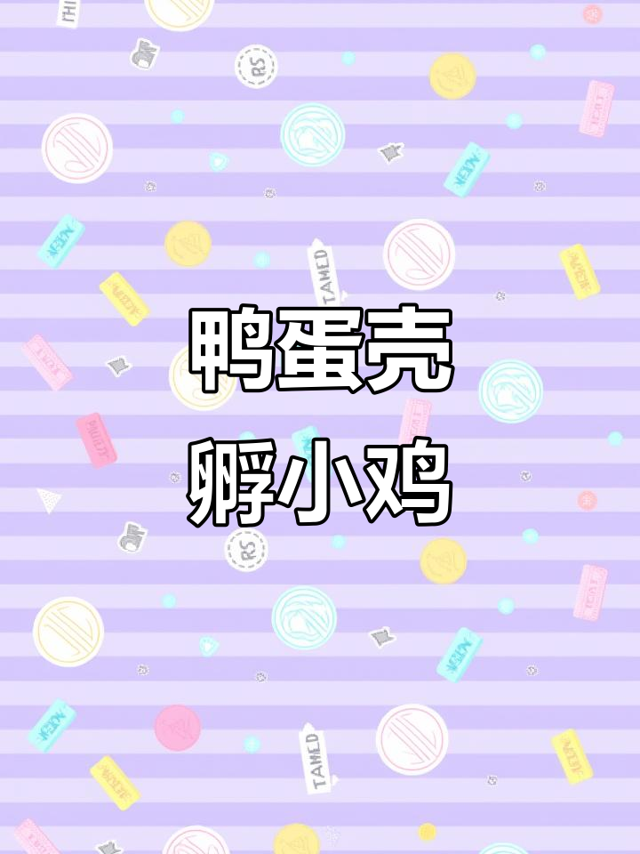 用鸭蛋壳孵化小鸡,19天后的惊喜时刻