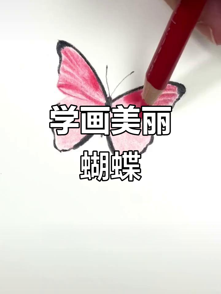 彩铅蝴蝶画法,简单又好看!