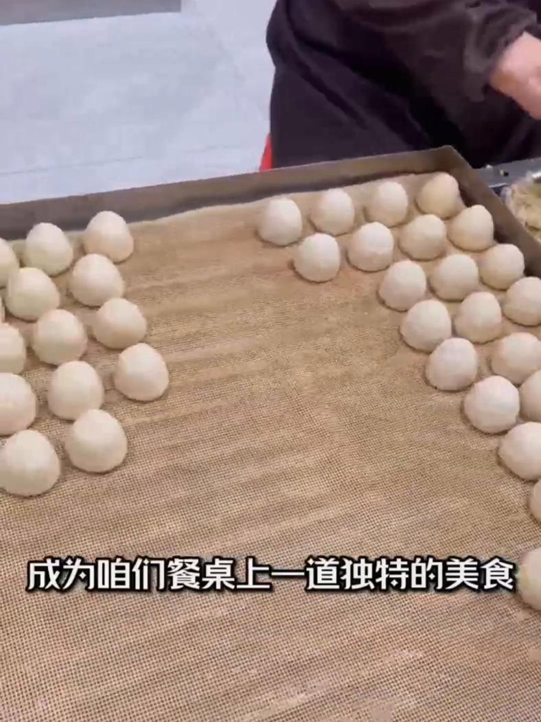 微视频|我带粉丝看家乡之大城站② 河北廊坊 家乡 大城