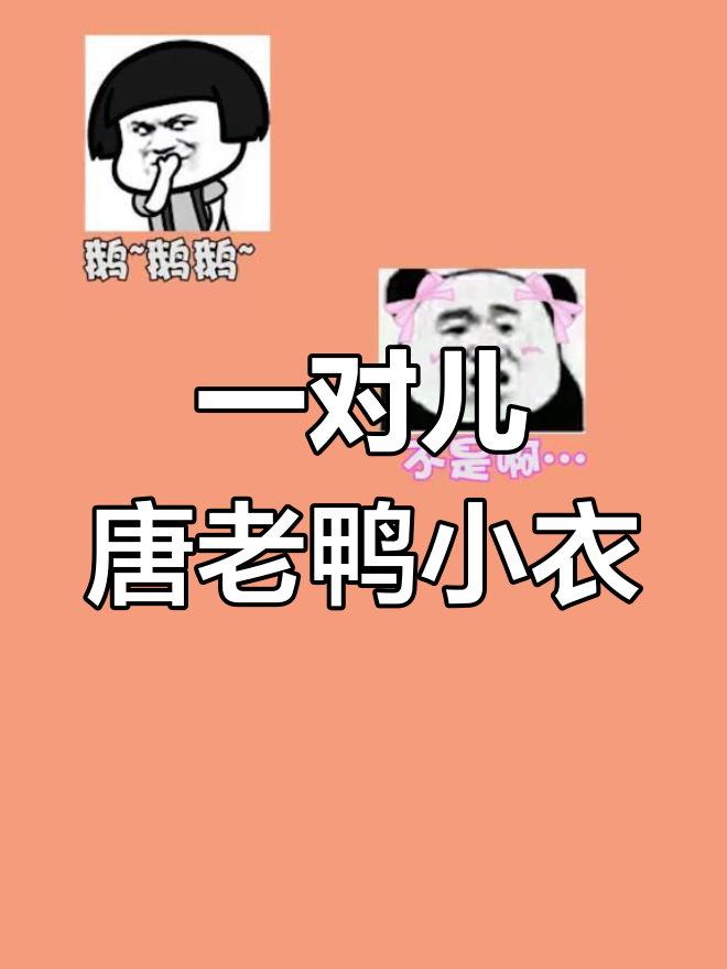 收到嫩妹团送的礼物,居然是一对超可爱的唐老鸭小衣服!
