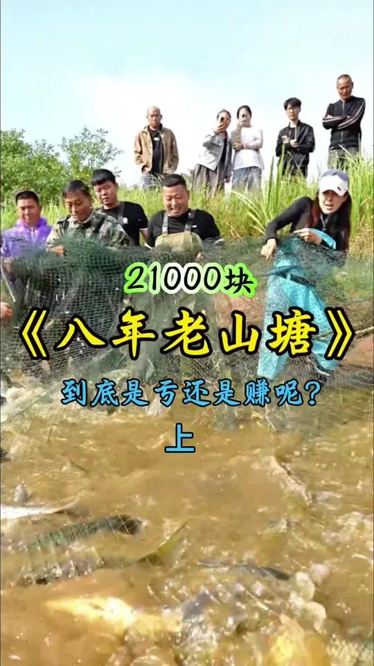 小飞哥和格小格花21000块包下一口八年未干的老山塘里拉网,看看到底是亏还是赚呢?新农人计