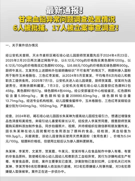 朱某琳、李某芳、文某芳、贺某霞、牛某元、安某玲等人在食品制作中掺入有毒、有害的非食品原料,