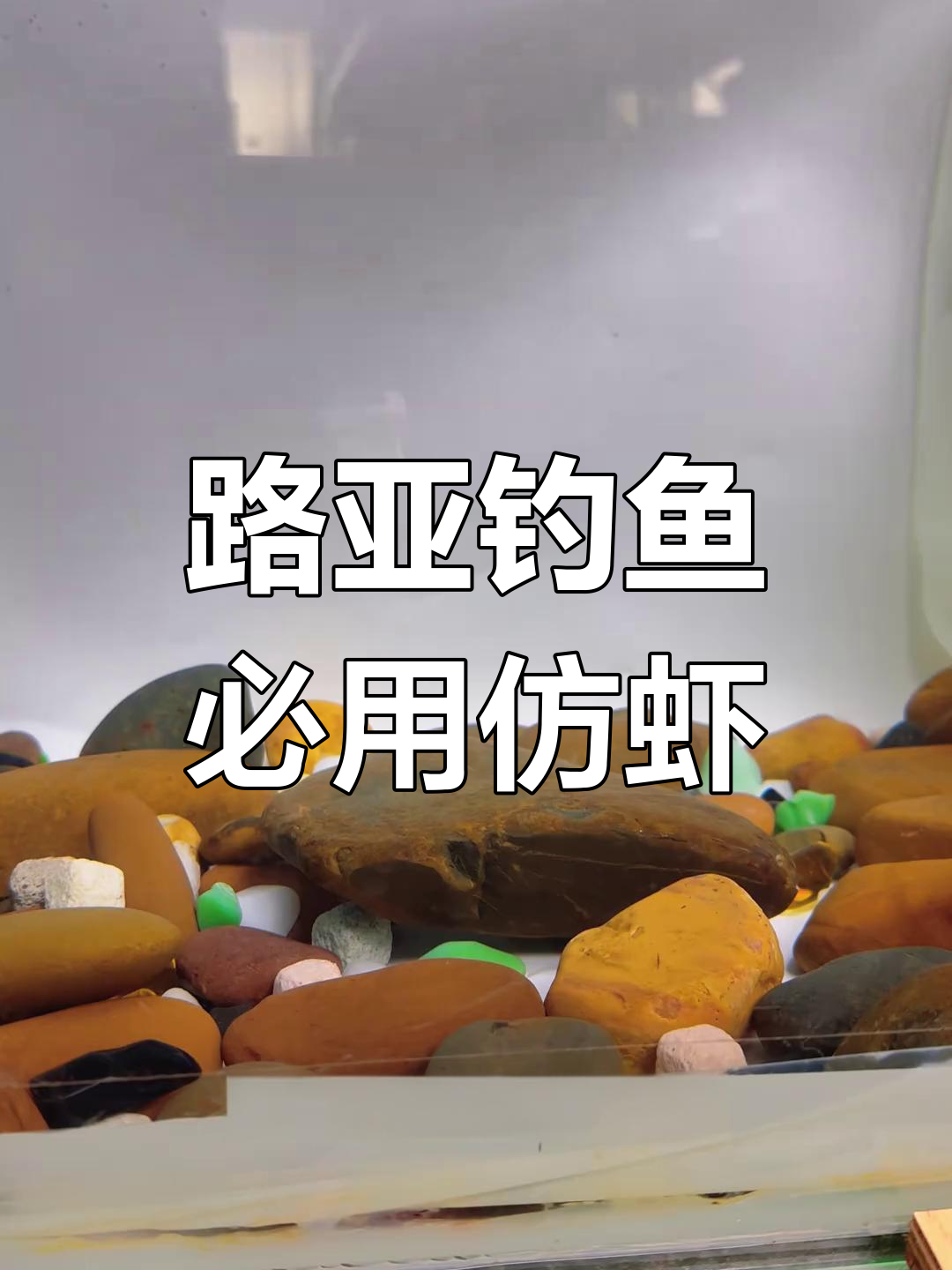 仿真假饵跳跳虾,路亚钓手必备神器