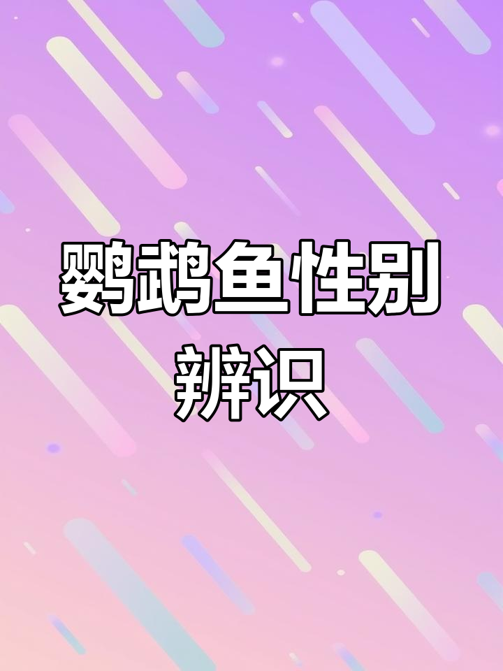 如何轻松辨别迷你鹦鹉鱼性别?饲养技巧全解析!