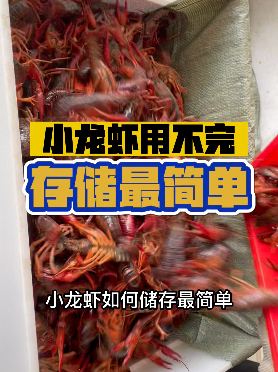 小龙虾如何保鲜储存简单又不占地方?