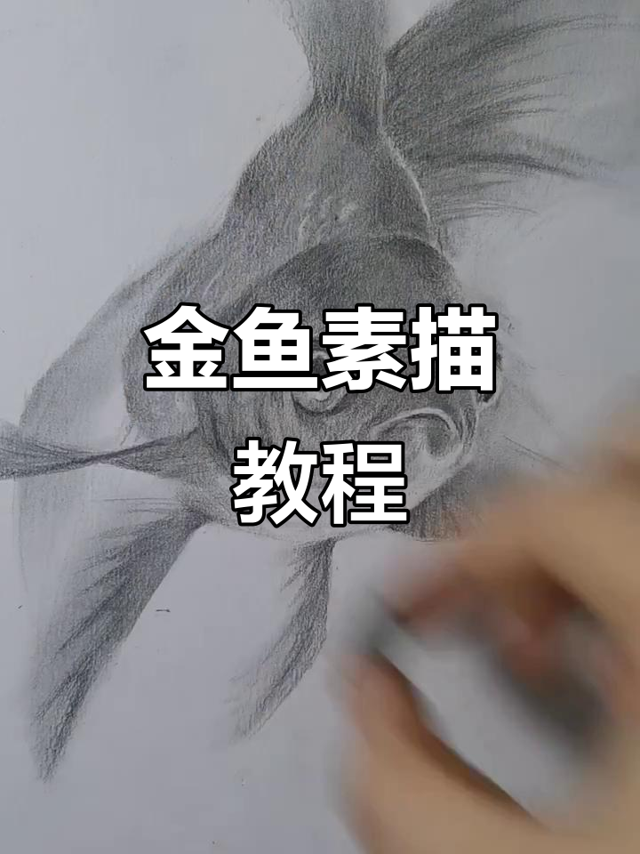 画出转发好运的金鱼,步骤超简单!