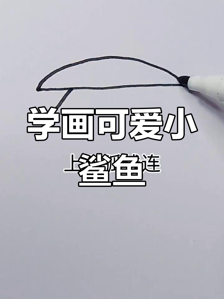 轻松学画鲨鱼,简单步骤教你画出萌态十足的海洋生物