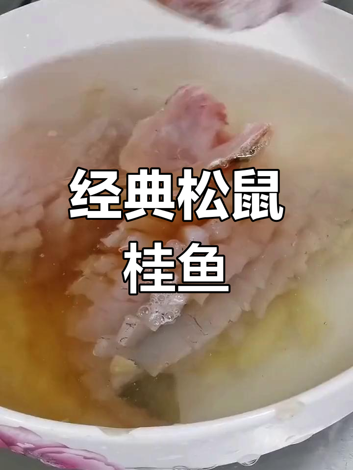 松鼠桂鱼的传统与变化