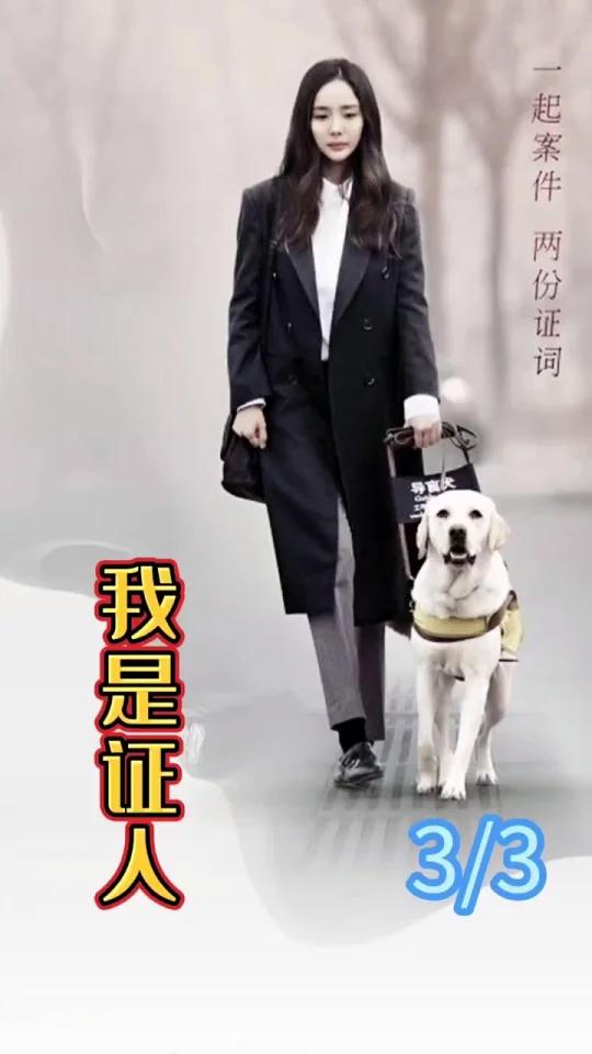 唐铮刺伤鲁队,要和小星同归于尽。影视剪辑 影视解说
