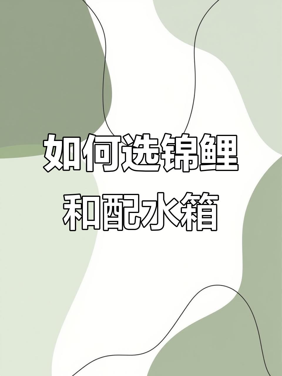 锦鲤鱼种选择与水箱搭配技巧