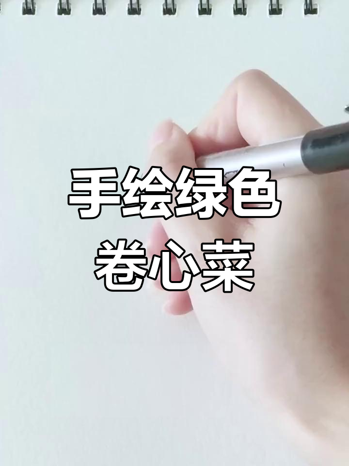 绿油油的卷心菜,简单又可爱的手绘蔬菜