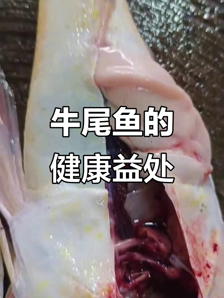 牛尾鱼:低脂高蛋白,营养丰富,适合健身人群