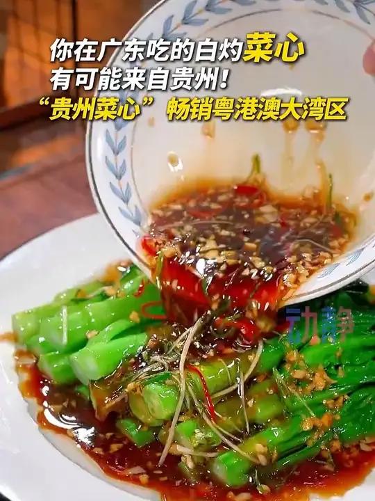 “又鲜又嫩 口感一流”!“贵州菜心 ”畅销粤港澳大湾区。