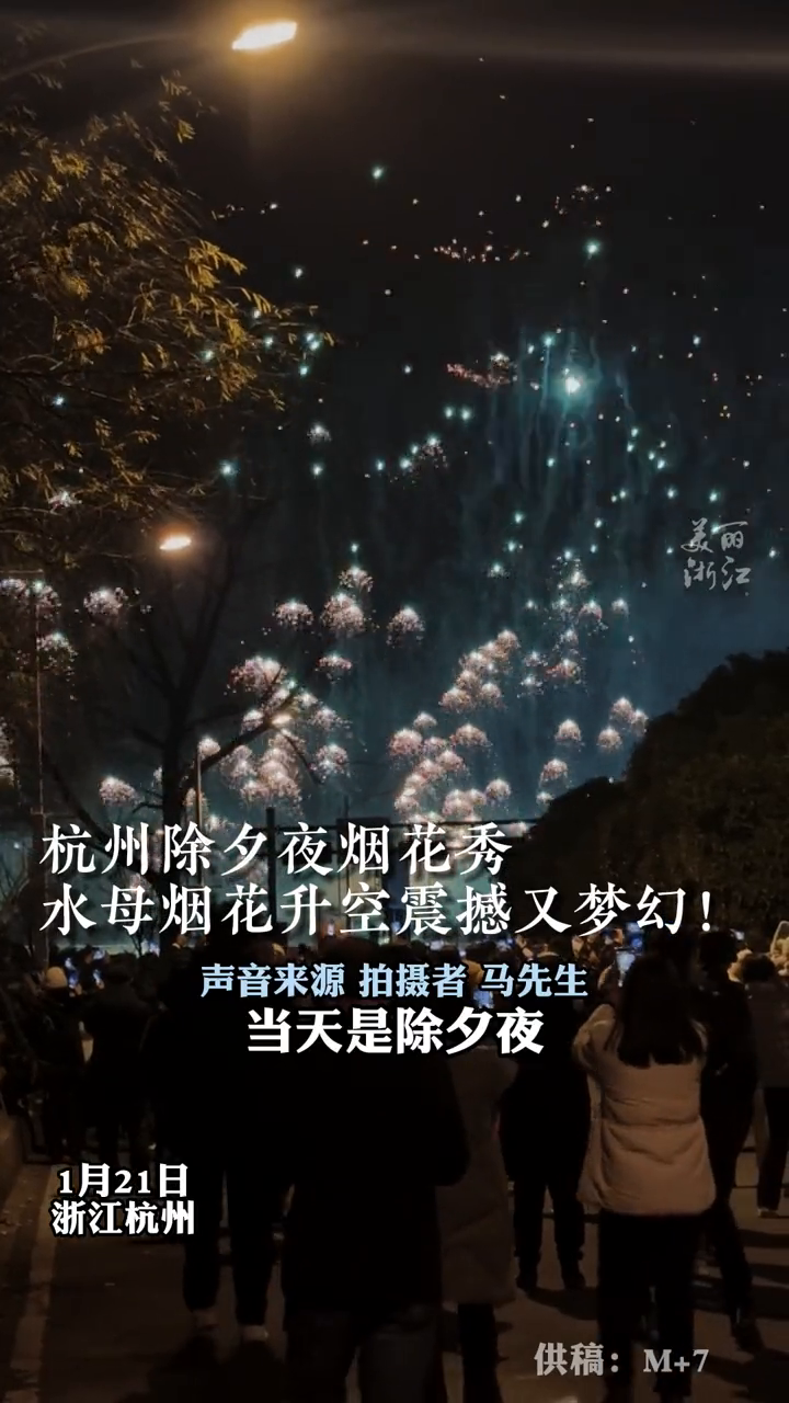杭州烟花秀,无数水母烟花升空,夜空秒变海底世界!
