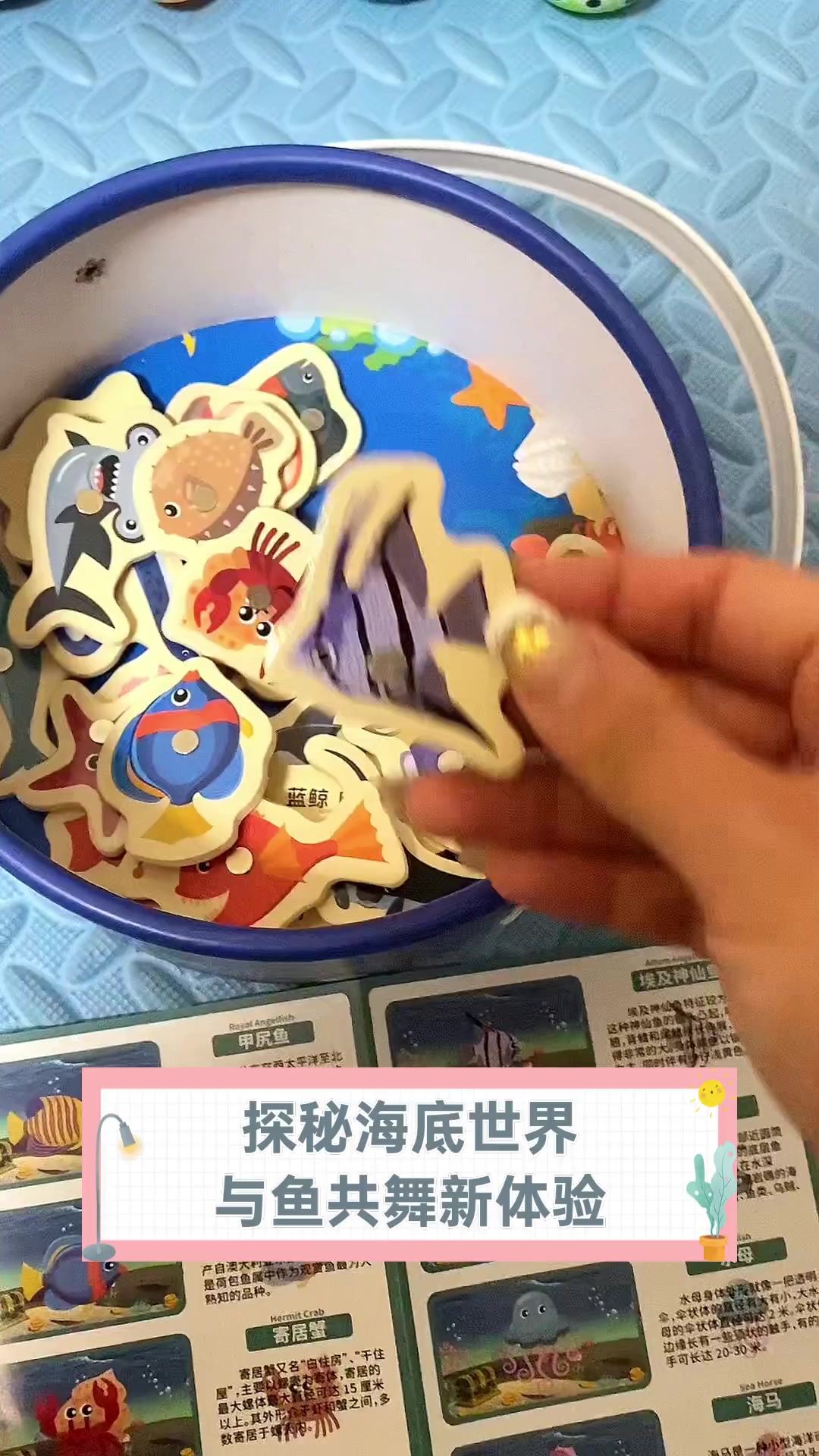 探秘海底世界,与鱼共舞新体验