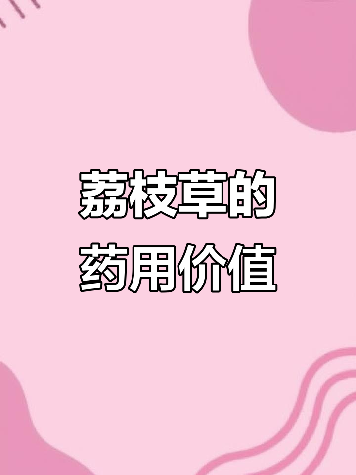 荔枝草的神奇功效与使用方法