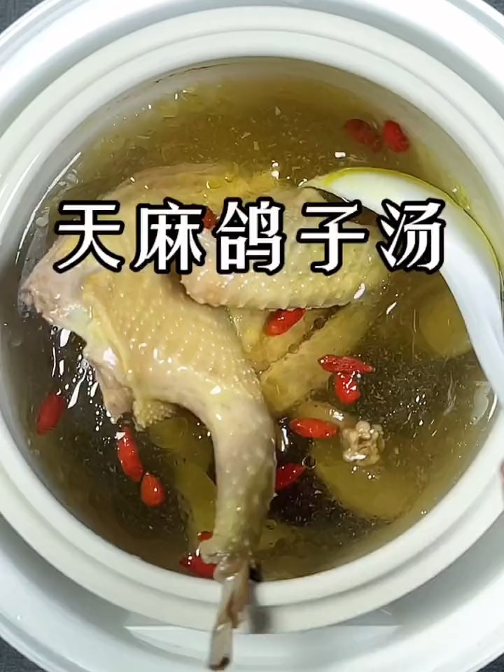 天麻鸽子汤