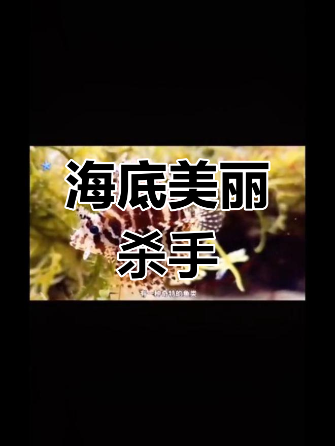 深海中的美丽杀手:狮子鱼如何毒晕猎物