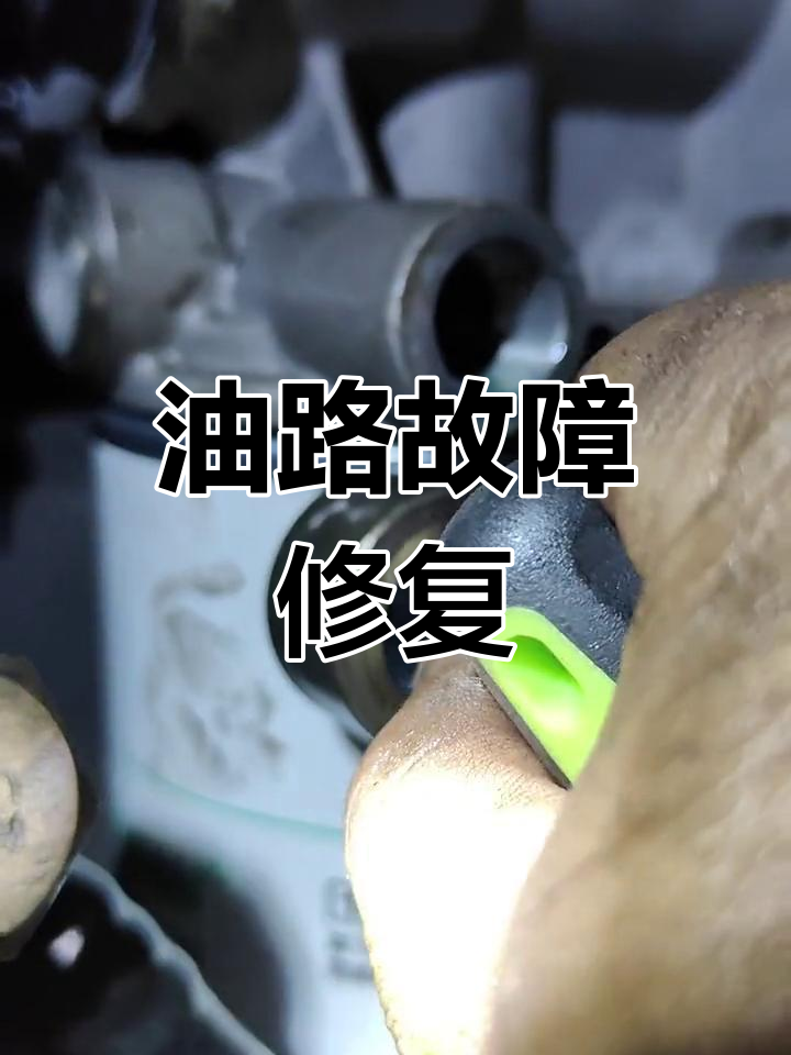 打造完美白天鹅,挑战四小天鹅游戏