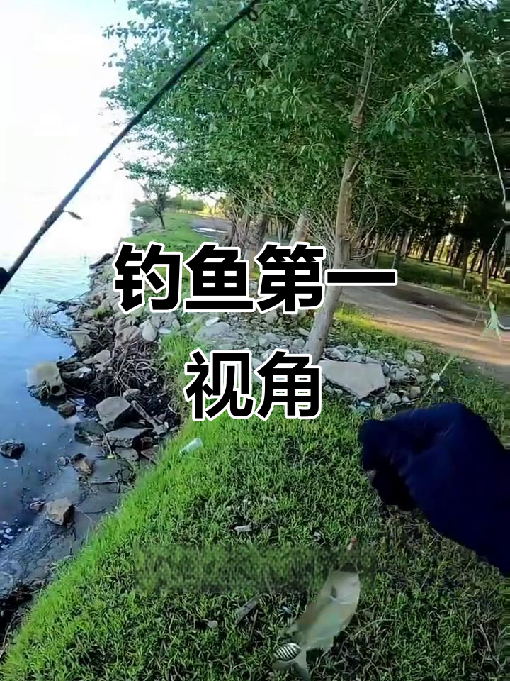 大鱼葱味,小鱼放生,松花江钓鱼亲身体验