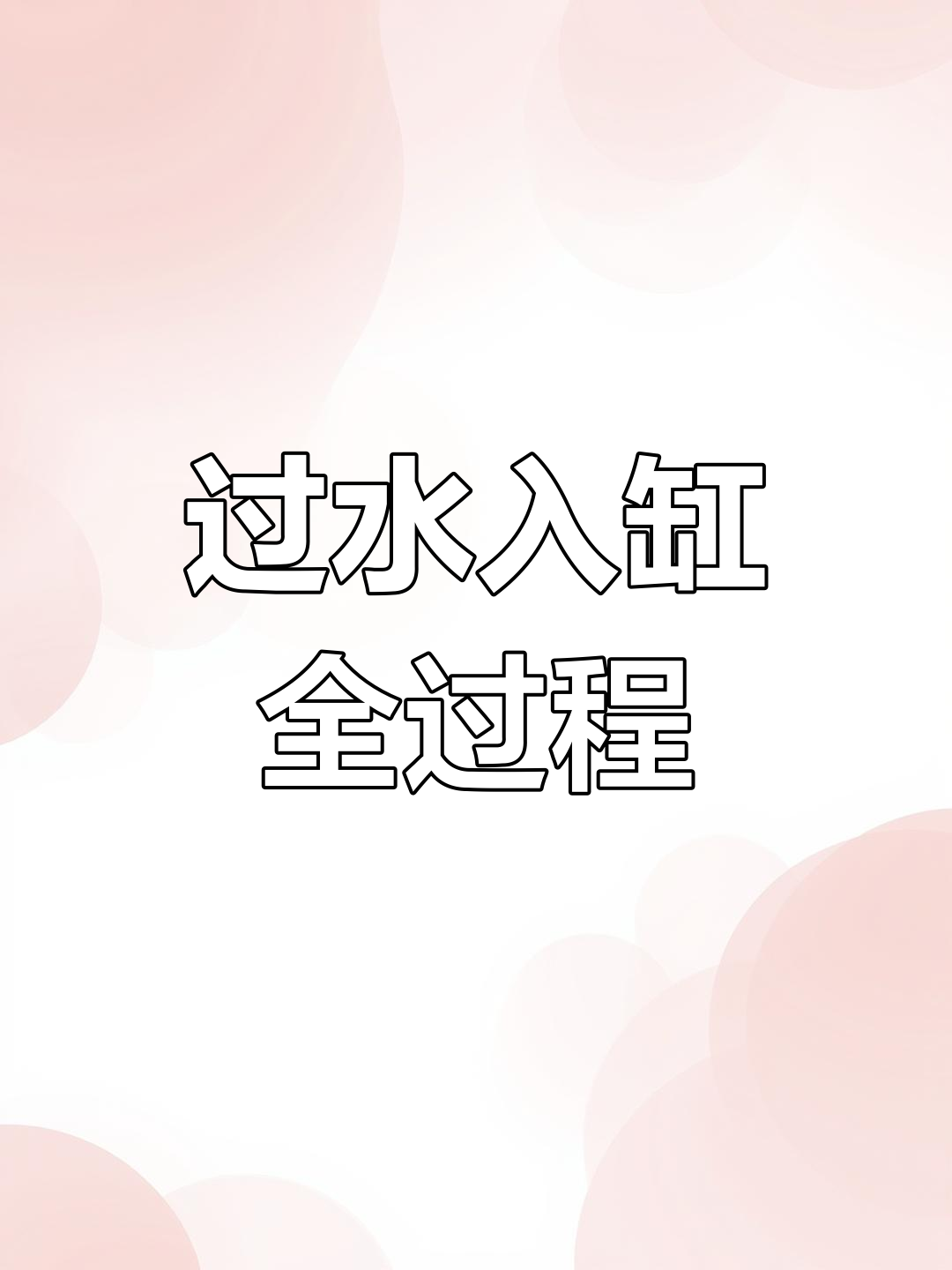 巨型斗鱼过温入缸技巧