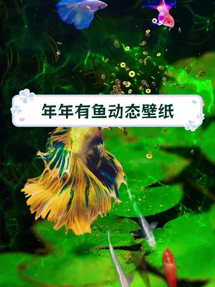 金鱼跃动,年年有余动态壁纸