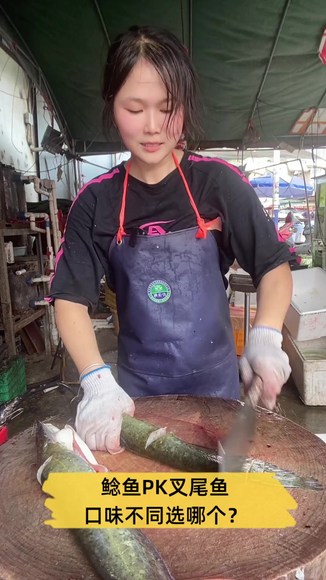 鲶鱼PK叉尾鱼,口味不同选哪个?