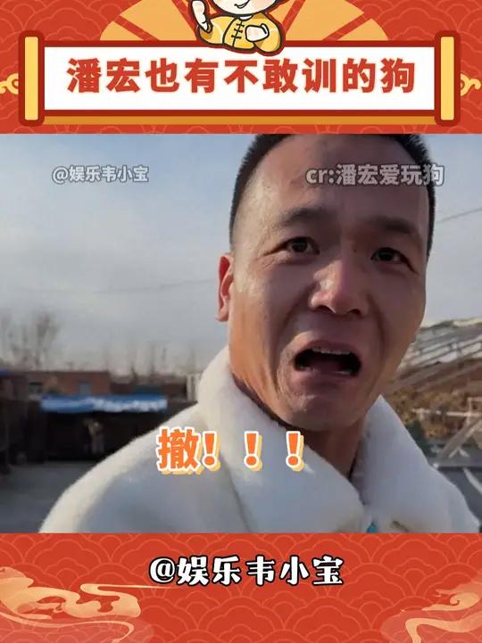潘宏也有不敢训的狗