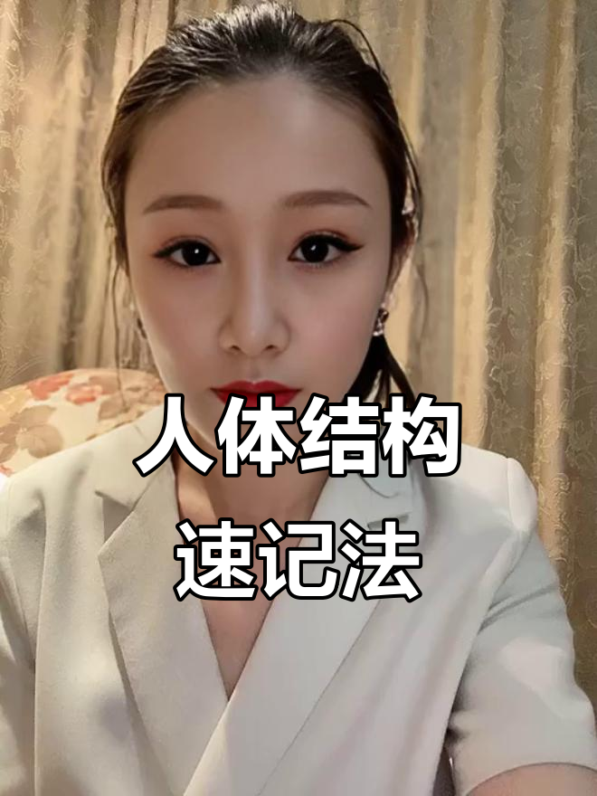 用括号图轻松掌握人体结构,快速记忆各部分名称!