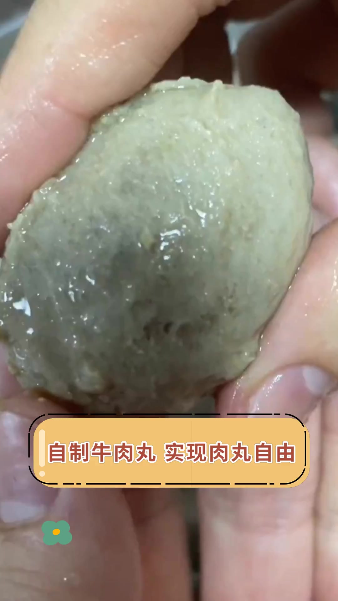 自制牛肉丸 实现肉丸自由