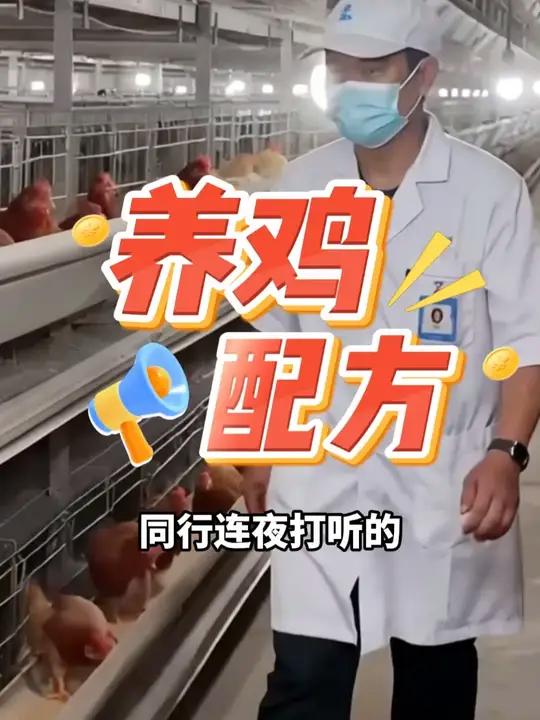 同行连夜打听的养鸡配方 现在公开饲料中加上 壮骨宝,小鸡成活率高、青年鸡骨架大、产蛋鸡下蛋