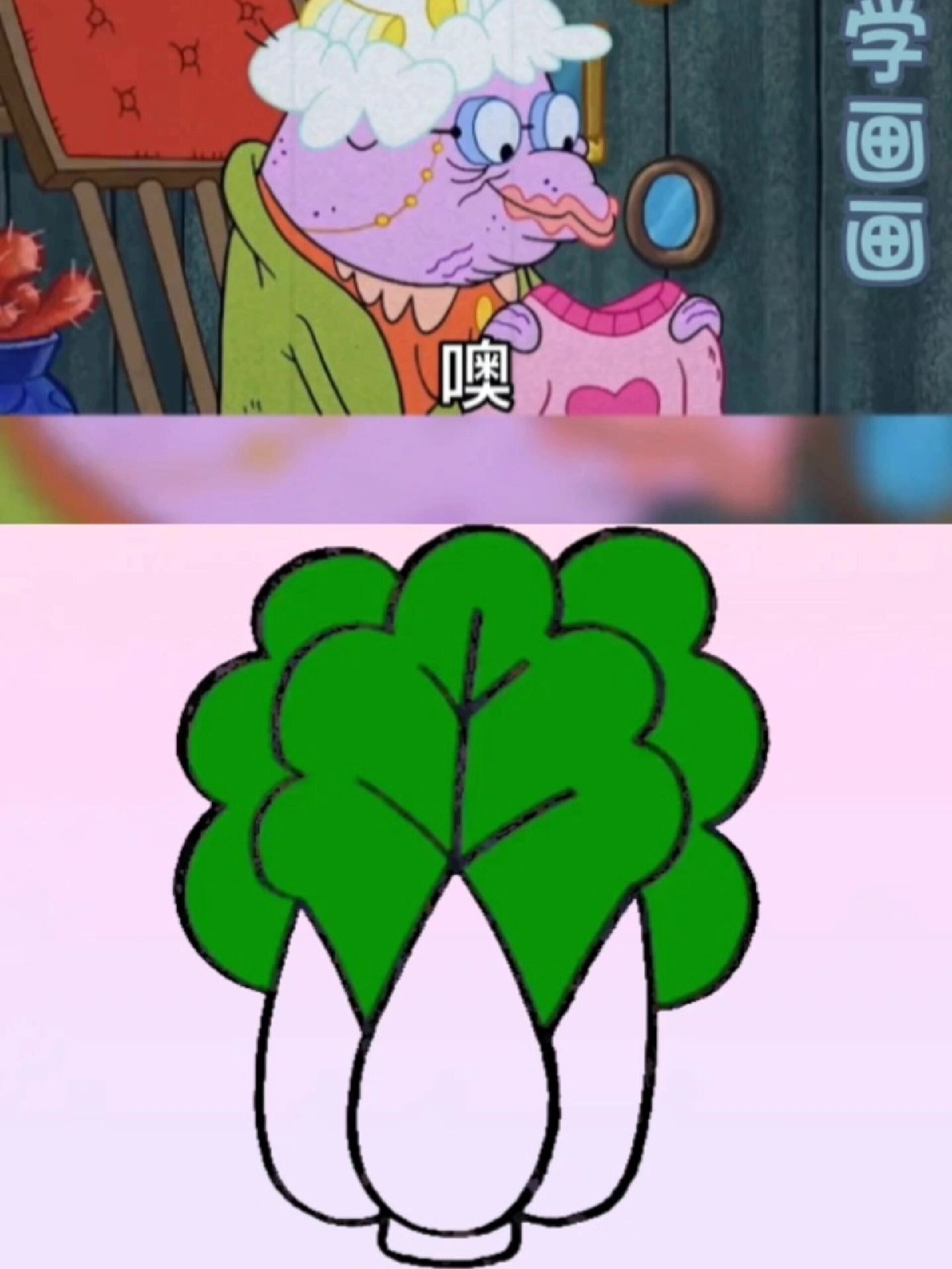 大白菜简笔画,一学就会