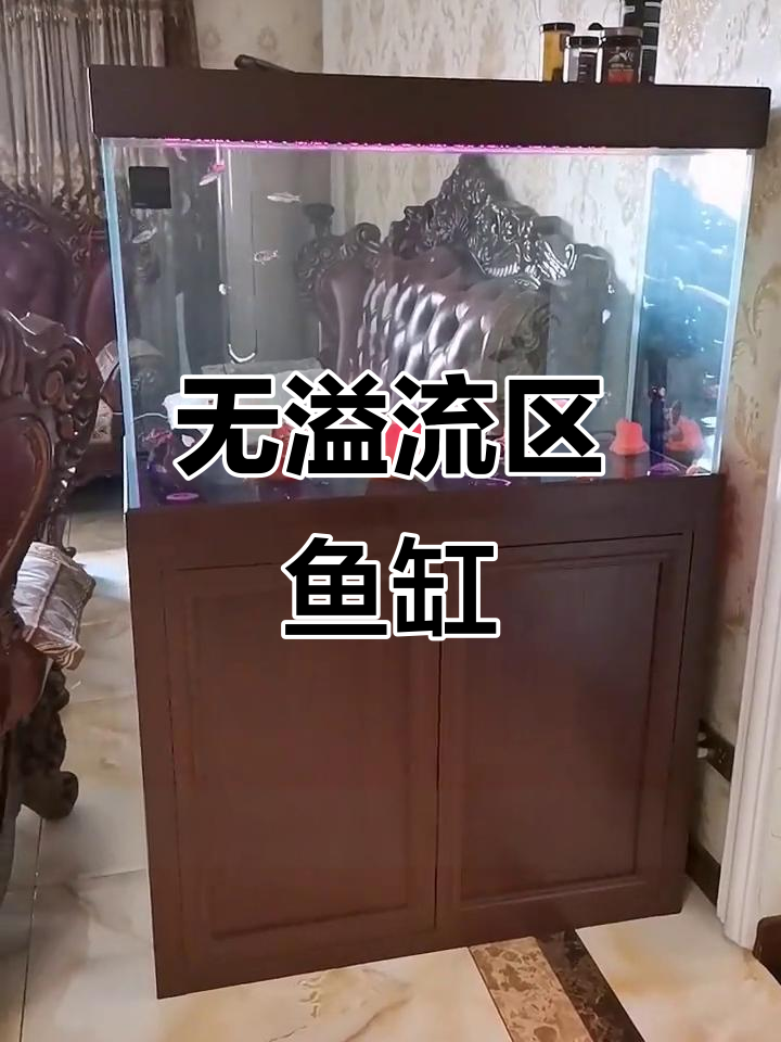 玄关款无管道鱼缸,四面通透设计更美观