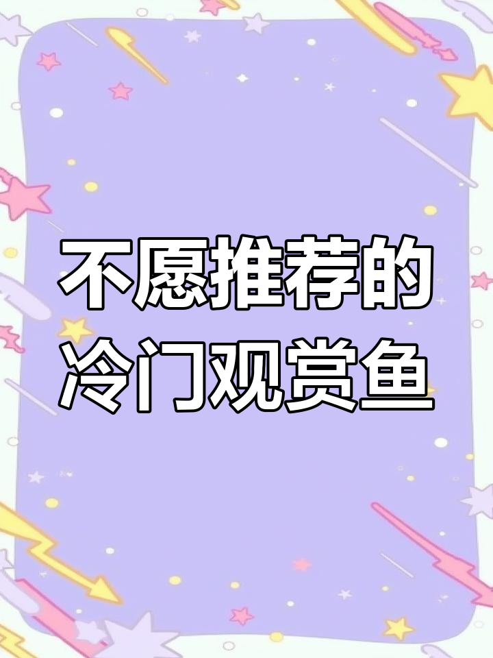 古代蝴蝶鱼:冷门观赏鱼的独特魅力