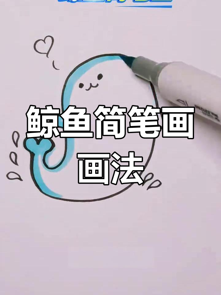 亲子互动:鲸鱼简笔画,轻松学会