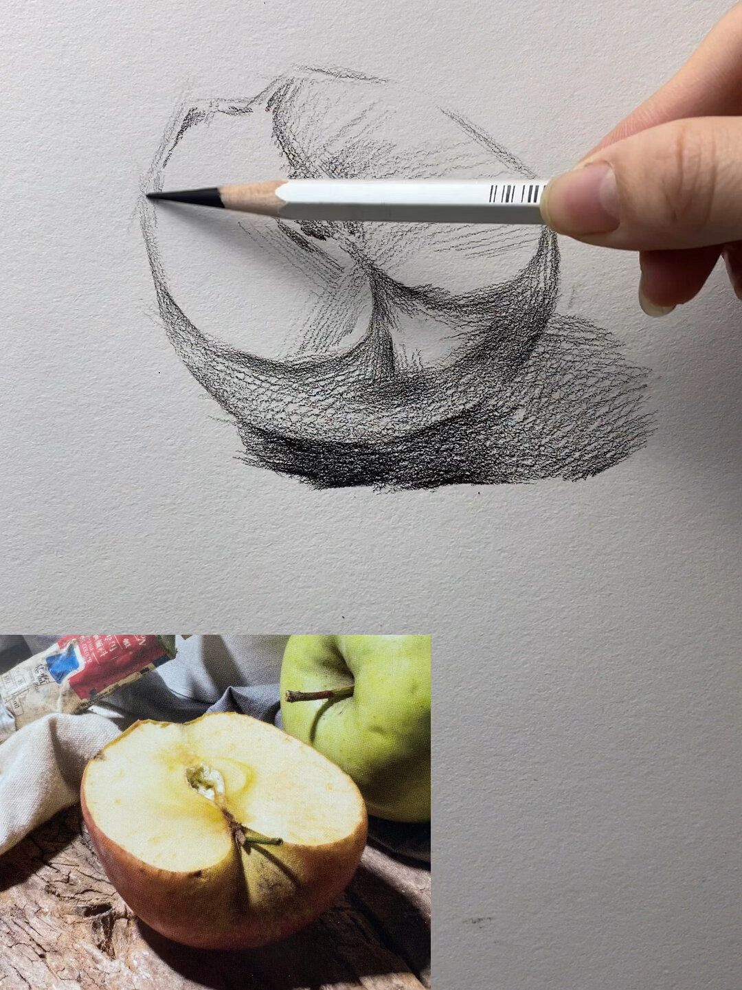 素描静物 半个苹果怎么画 零基础初学者教学