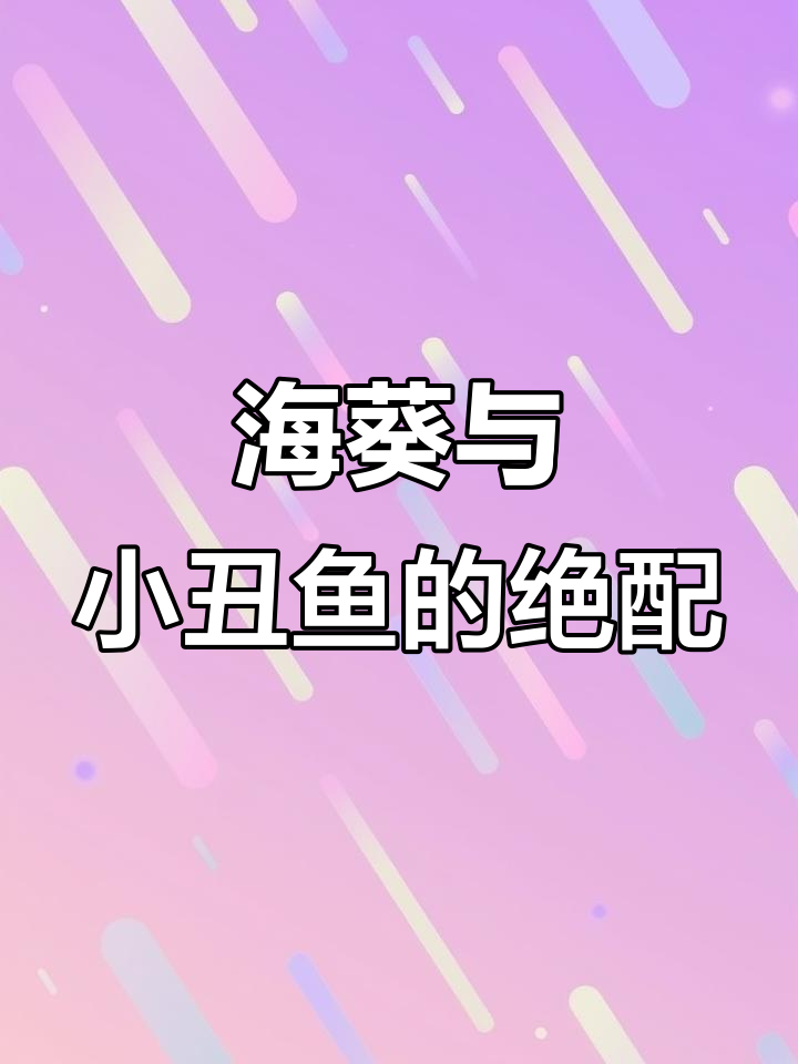 咖色海葵与小丑鱼，完美搭配的海洋CP！