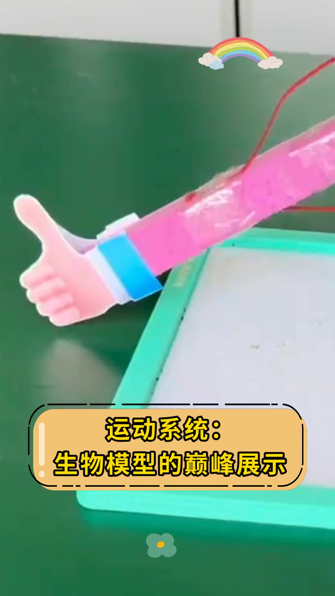运动系统:生物模型的巅峰展示