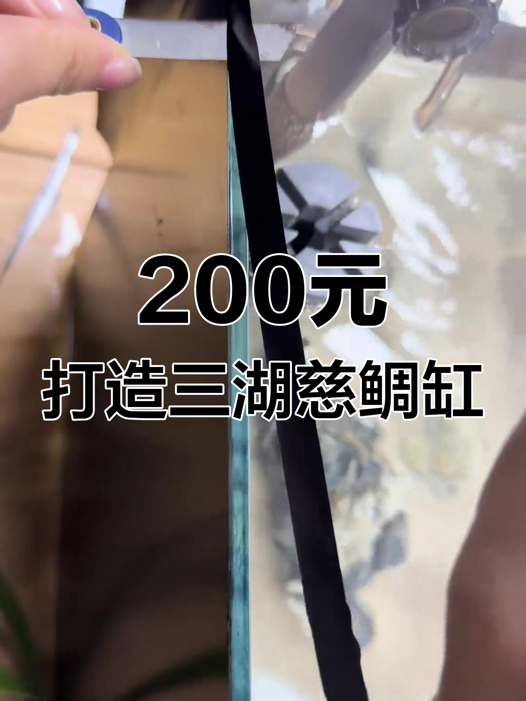 200块搞定40缸,三湖慈鲷新家超值配置