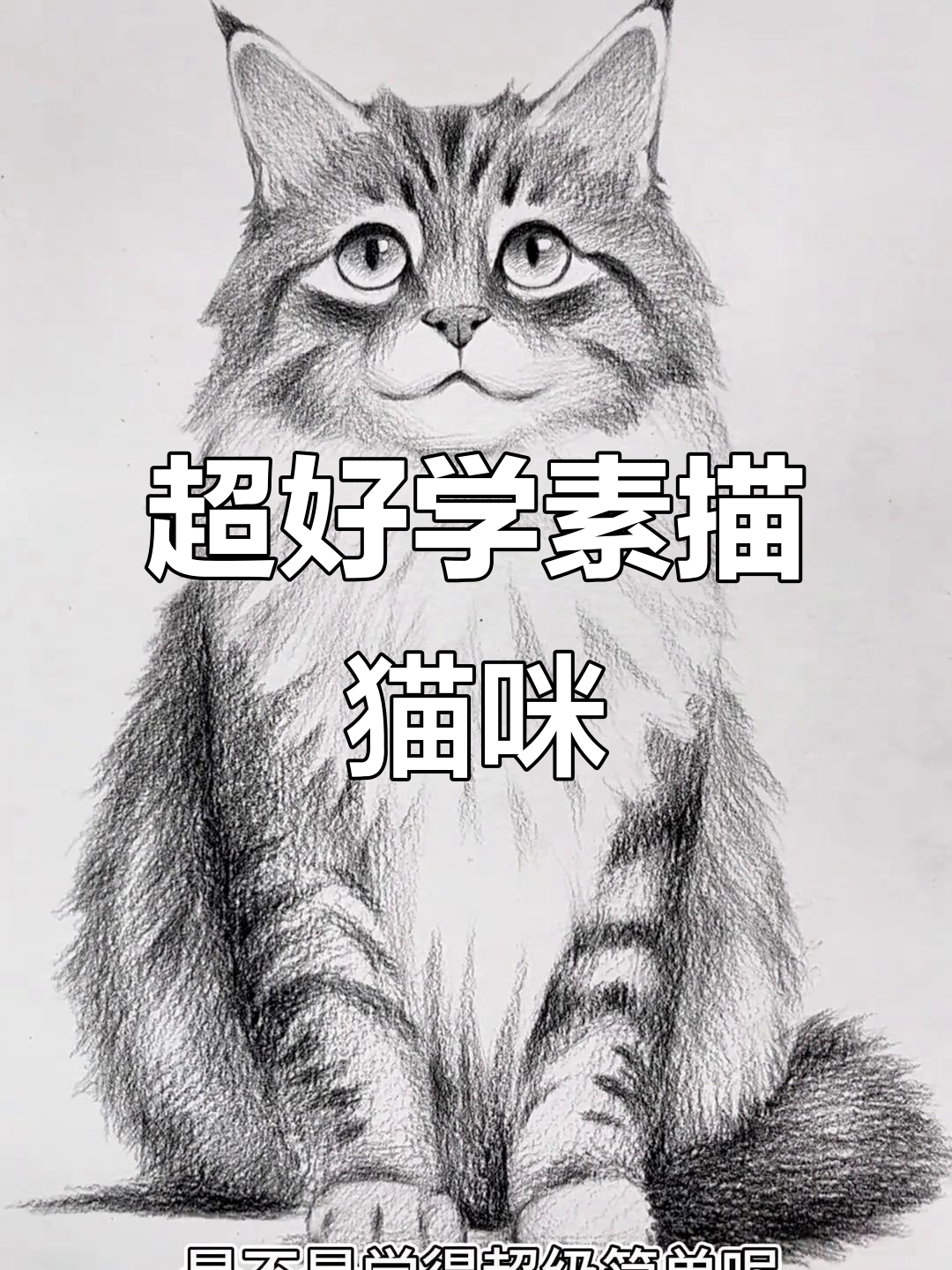 轻松学会素描猫咪,简单又真实!