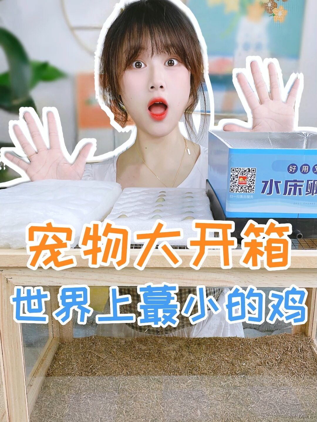 我孵化了一些小家伙!现在甄选小鸡名字!