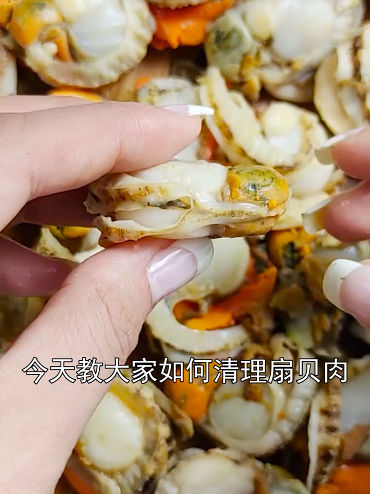 扇贝肉如何处理
