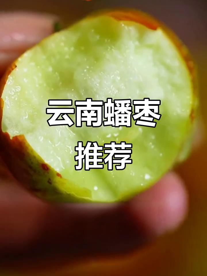 云南蟠枣,脆甜多汁,口感绝佳,吃过的都说好!