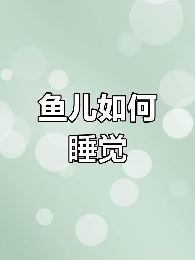 鱼儿的“睡眠”秘密