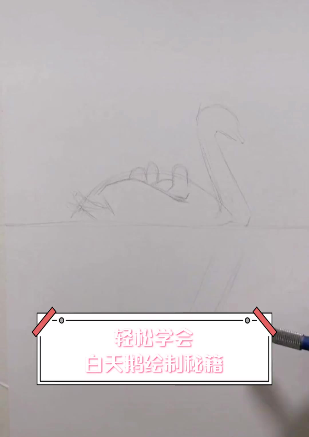 轻松学会,白天鹅绘制秘籍