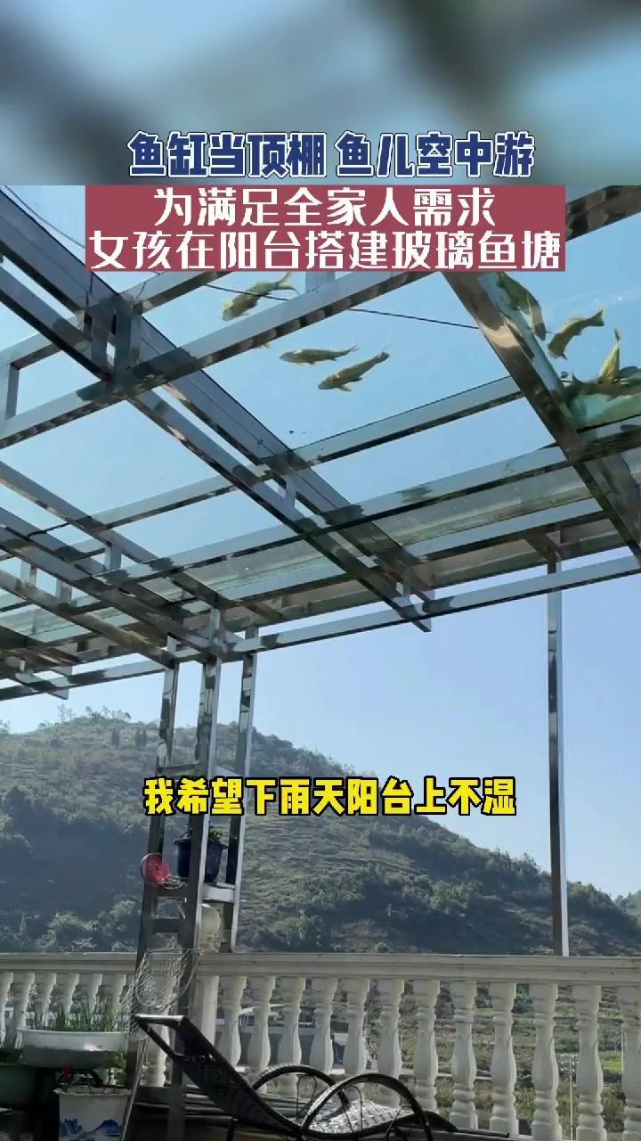 鱼缸当顶棚,鱼儿空中游,为满足全家人需求,女孩在阳台搭建玻璃鱼塘 脑洞大开 生活中的小确幸