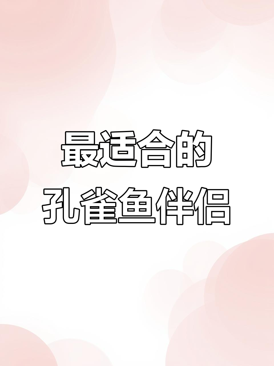 孔雀鱼缸里的最佳伴侣:黄金胡子与苹果螺