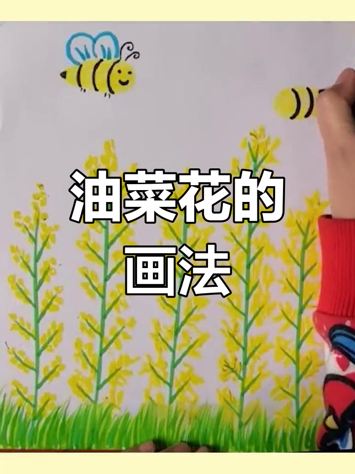 春天油菜花简笔画教程