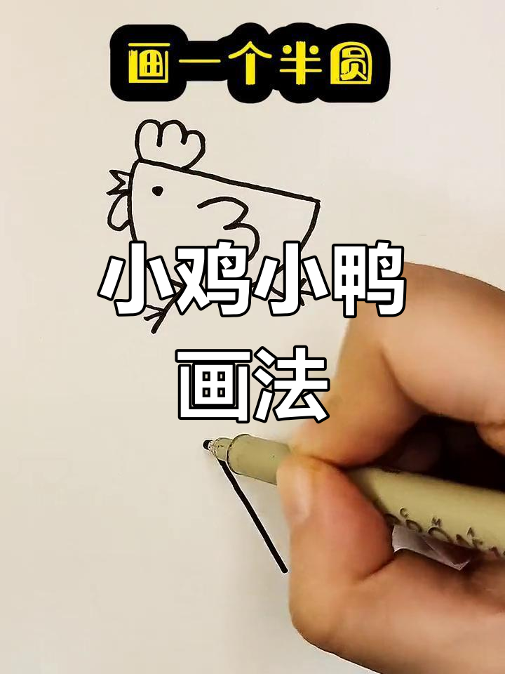 创意简笔画:小鸡小鸭的乐园